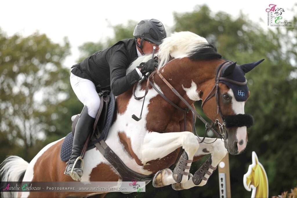 cavalier au jumping de bonneval